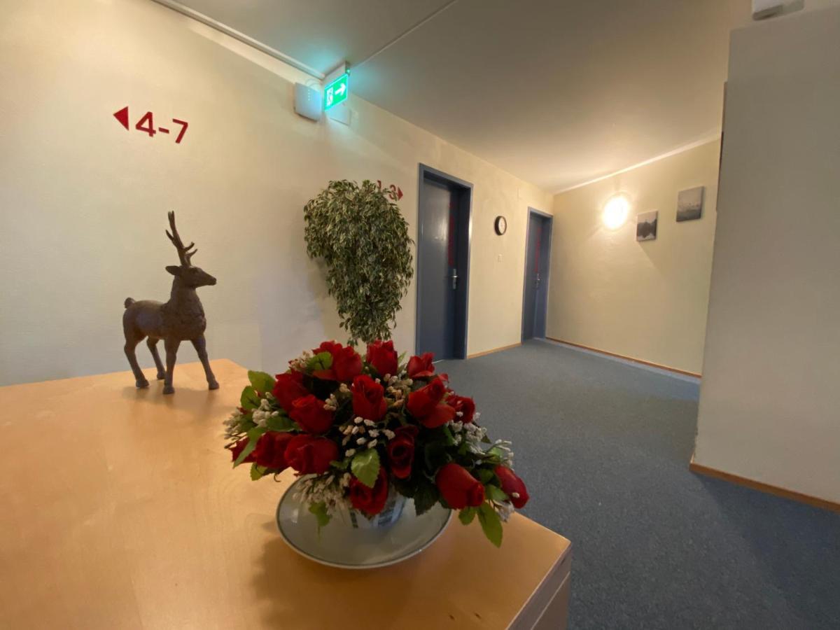 Hotel Hirschen Hinwil Exterior foto